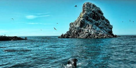 Resultado de imagen para isla TIBURON