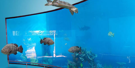 Acuario Mazatlán en Sinaloa Mexico